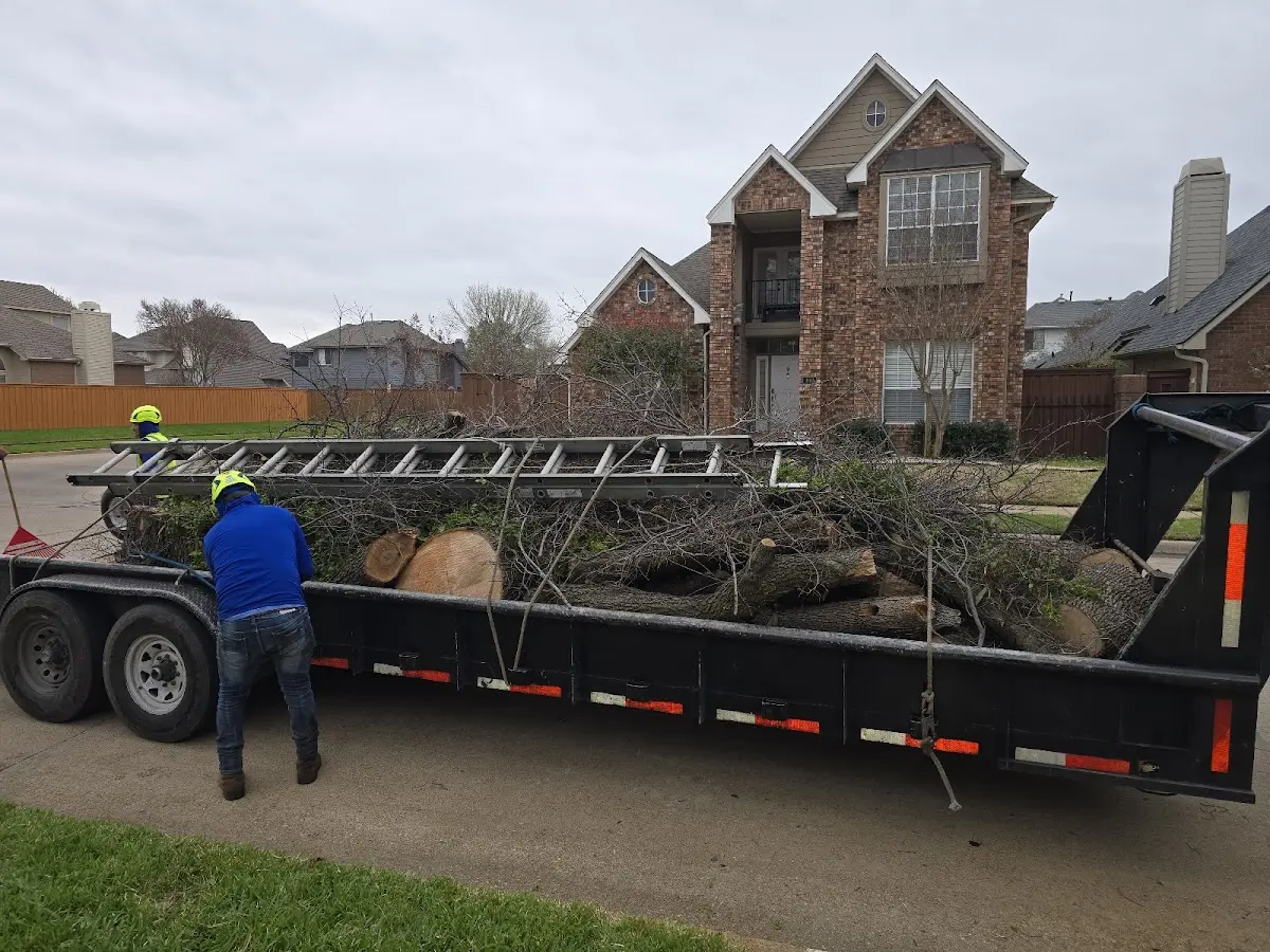 Expert Tree Fertilization with proper safety equipment in Wright